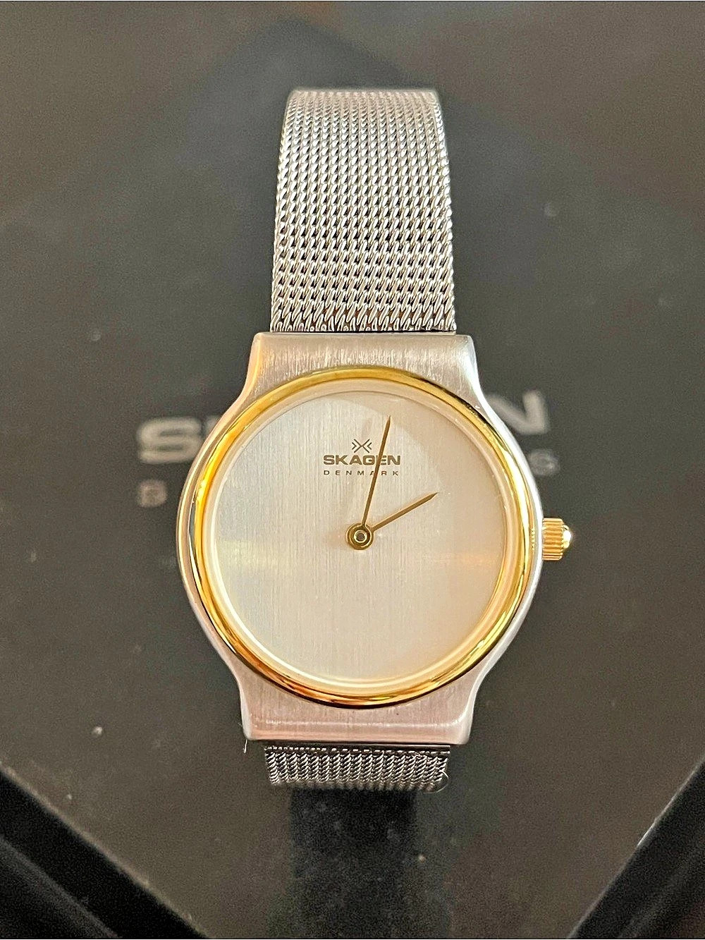 New in Box Vintage Women’s Skagen Silver Tone Mesh Watch with Gold Bezel